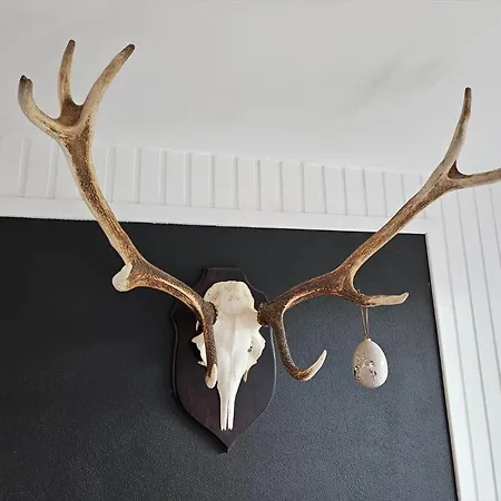 Fan053-fano-norges-fjelde-9 * Fanø