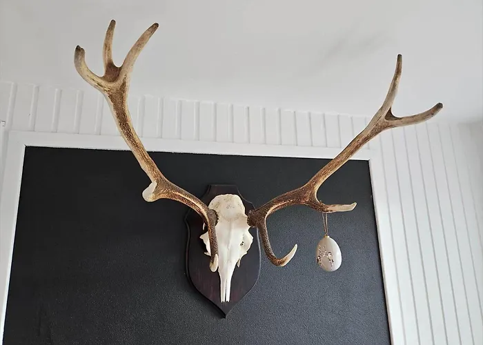 Fan053-fano-norges-fjelde-9 Casa de Férias *